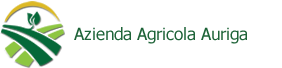 Azienda Agricola Auriga